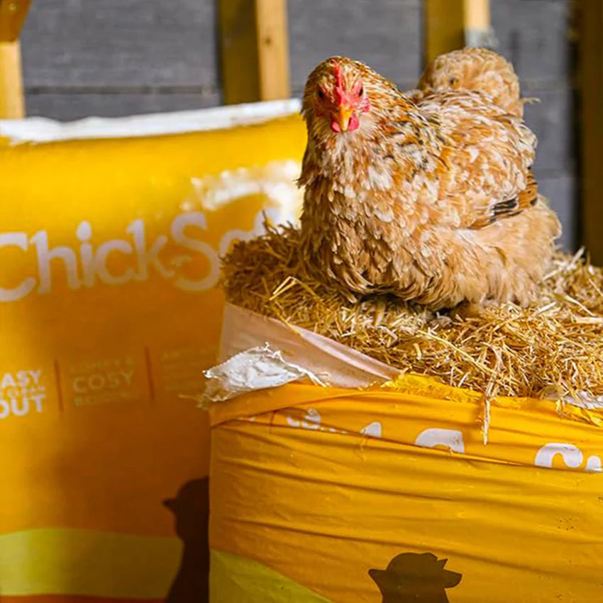 ChickSoft by BedSoft Premium Chicken Bedding - 16KG